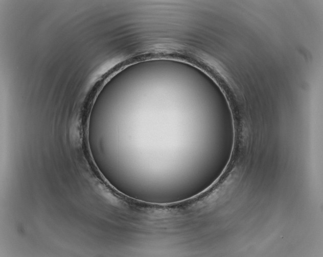 X0000112041018200908101356