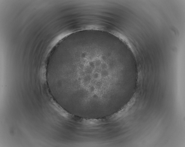 X0000112041019200908101356