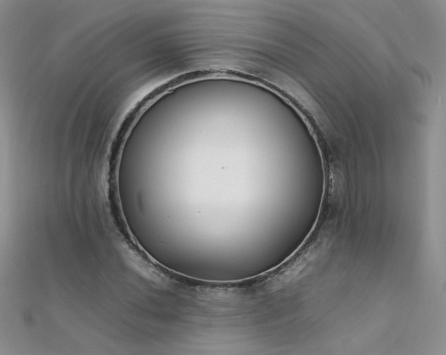 X0000112041020200908101356