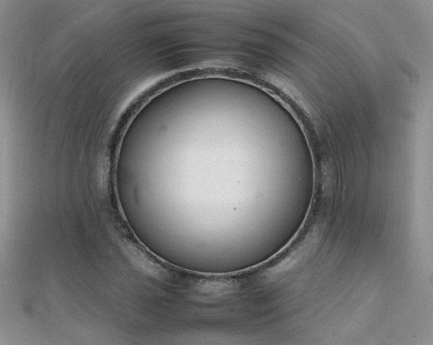 X0000112041021200908101356