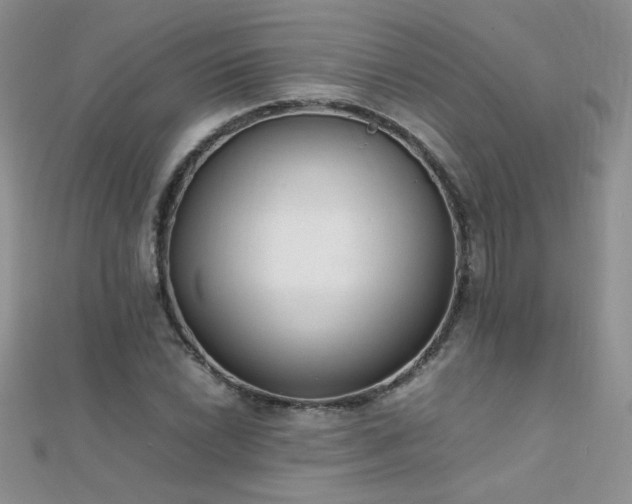 X0000112041022200908101356