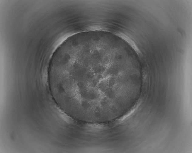 X0000112041023200908101356