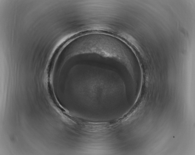 X0000112041024200908101356