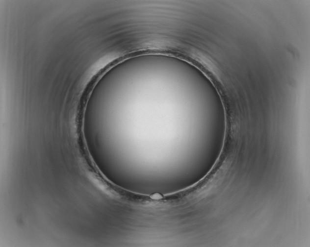 X0000112041026200908101356