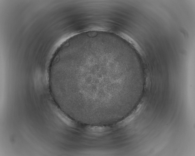 X0000112041027200908101356