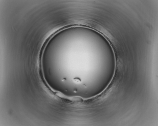 X0000112041028200908101356