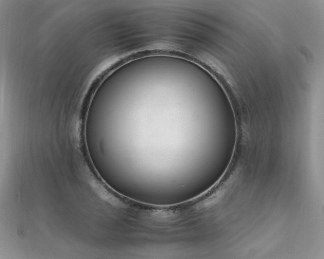 X0000112041029200908101356