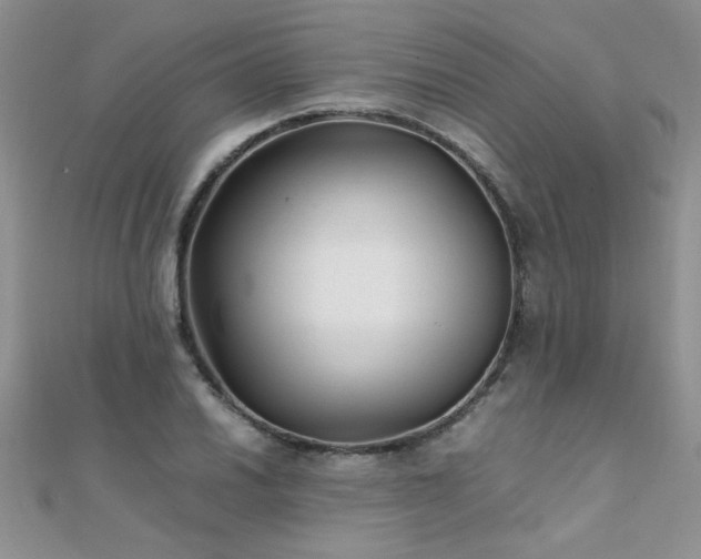 X0000112041030200908101356