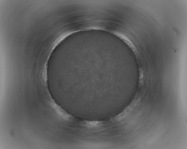 X0000112041031200908101356
