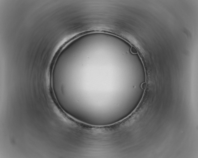 X0000112041032200908101356