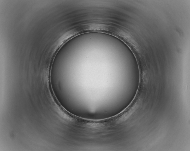 X0000112041033200908101356