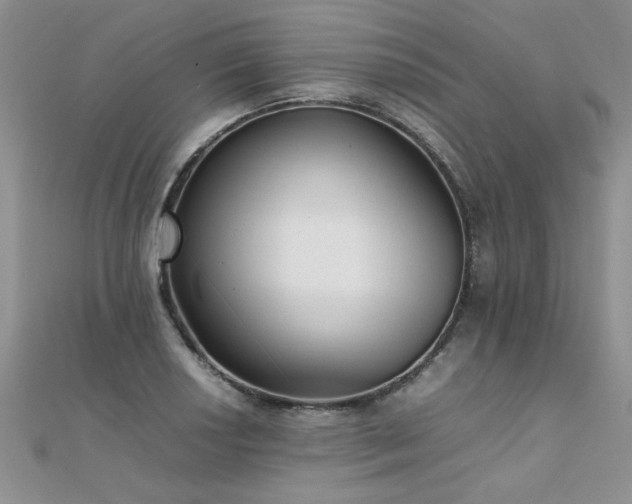 X0000112041034200908101356