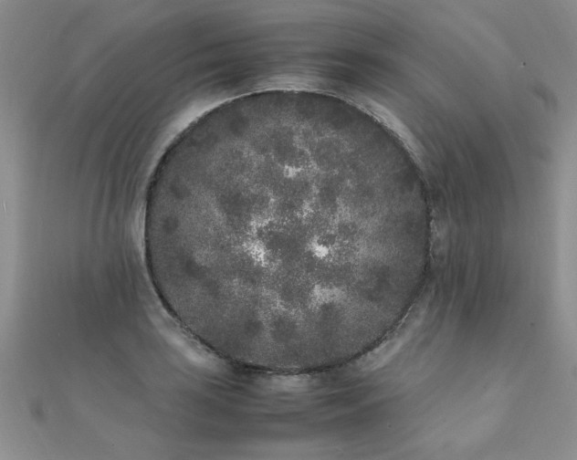 X0000112041035200908101356