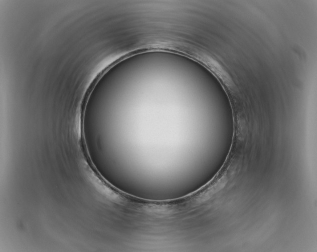 X0000112041036200908101356