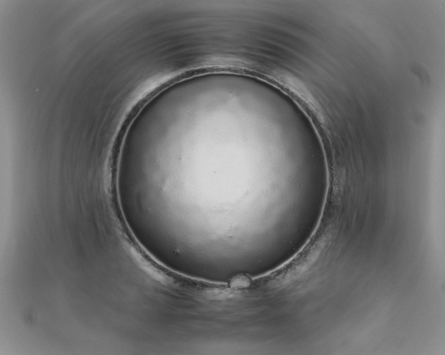 X0000112041037200908101356
