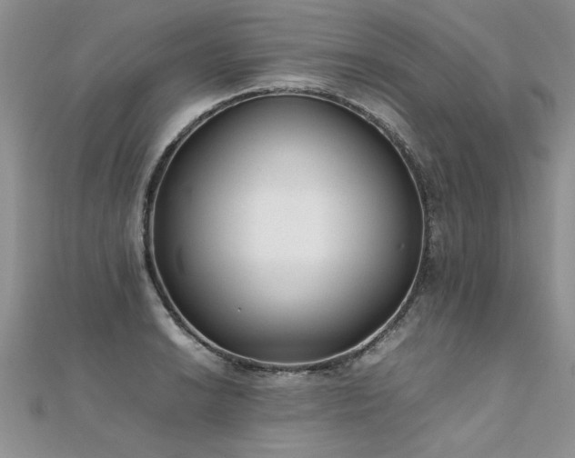 X0000112041038200908101357