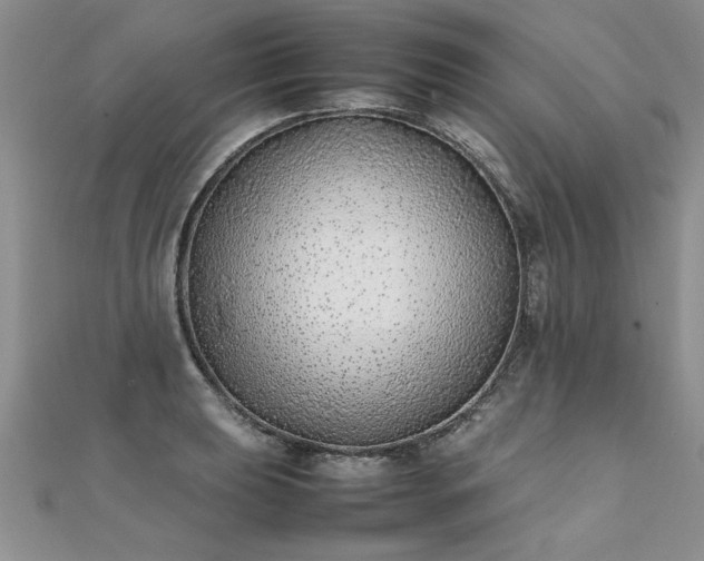 X0000112041039200908101357
