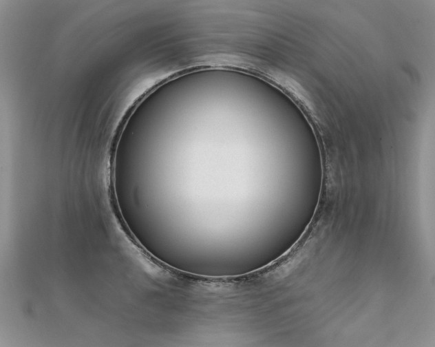 X0000112041040200908101357