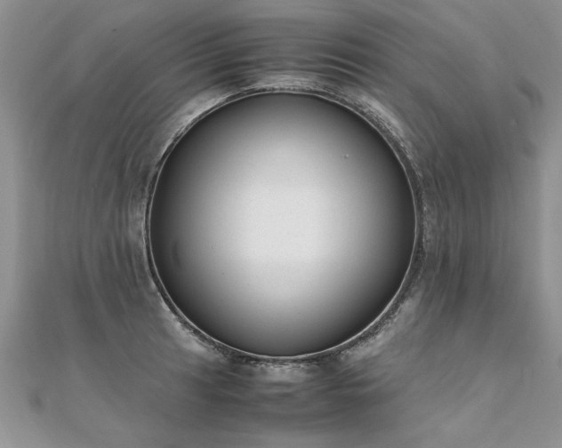 X0000112041041200908101357