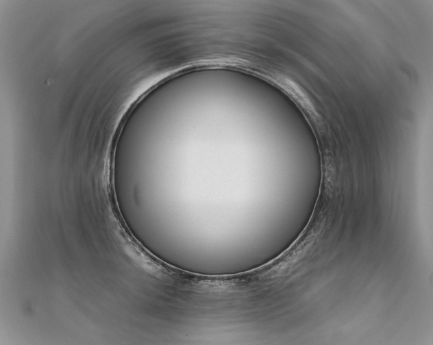 X0000112041044200908101357