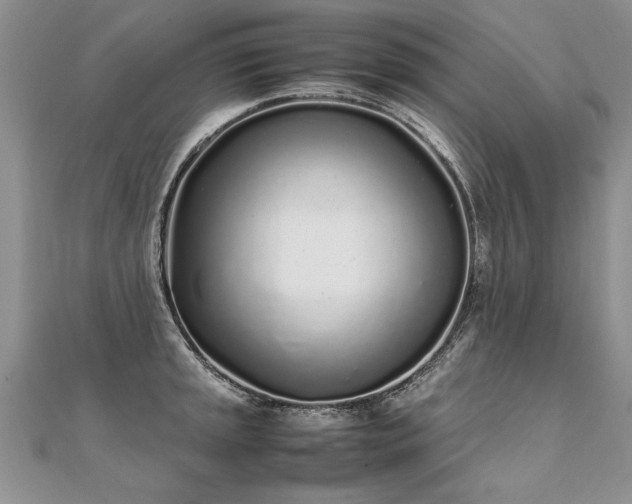 X0000112041045200908101357