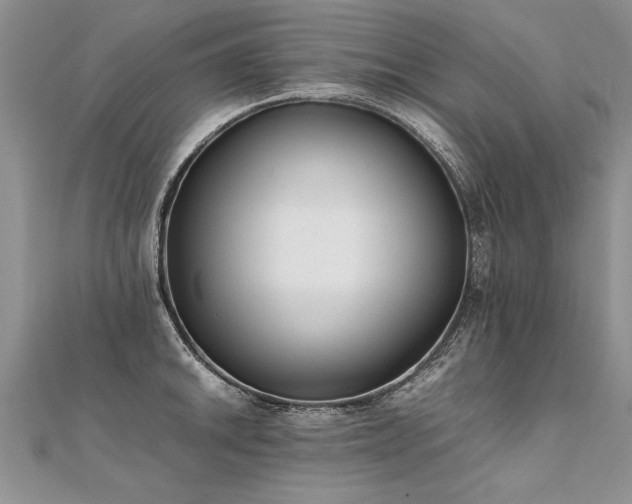 X0000112041046200908101357