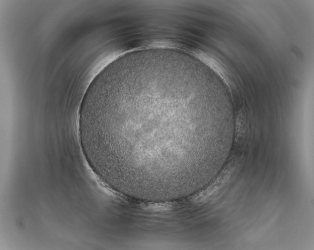 X0000112041047200908101357