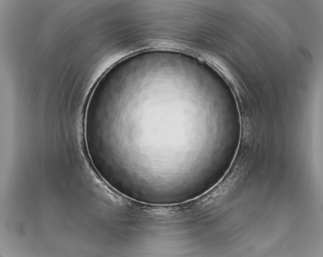 X0000112041048200908101357