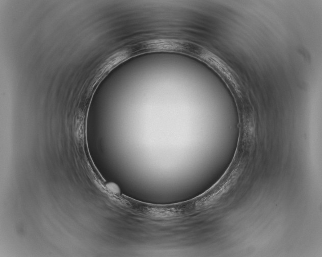 X0000112041049200908101357