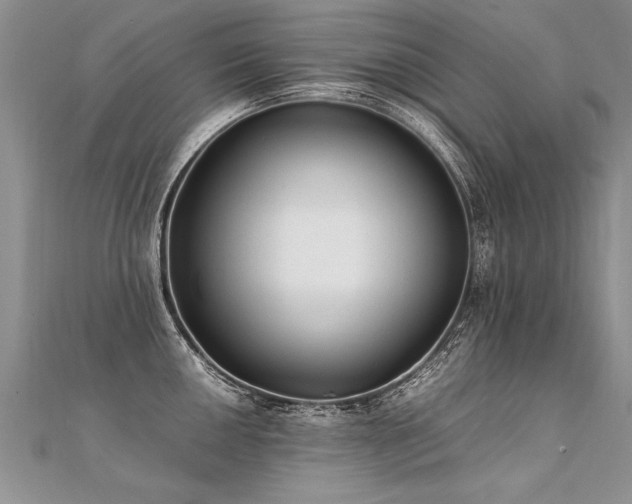 X0000112041050200908101357
