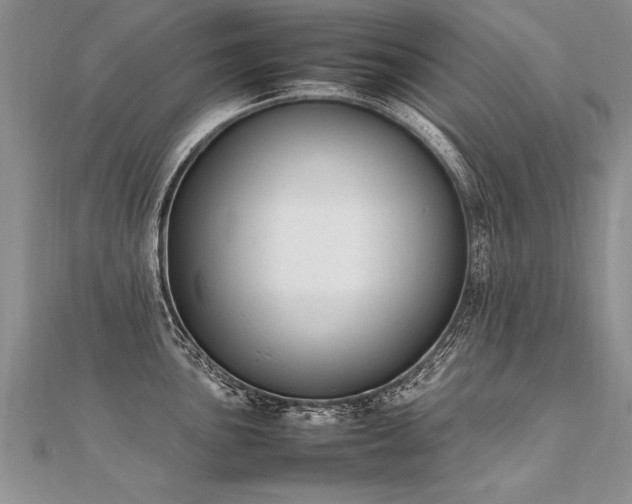 X0000112041051200908101357