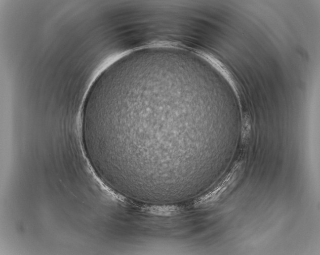 X0000112041053200908101357
