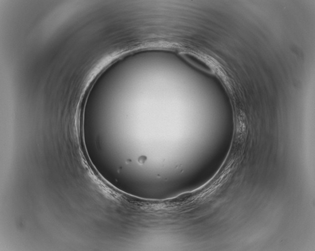 X0000112041054200908101357