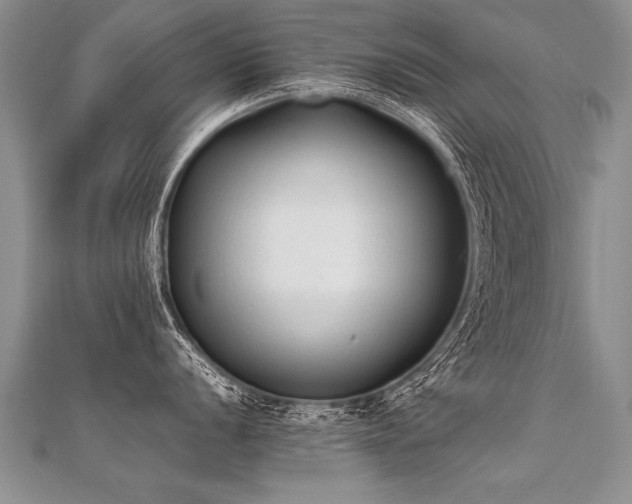 X0000112041056200908101357