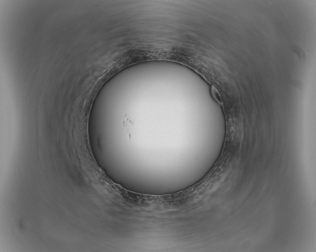 X0000112041057200908101356