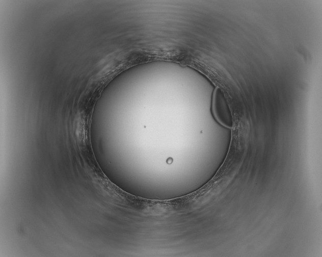 X0000112041058200908101356