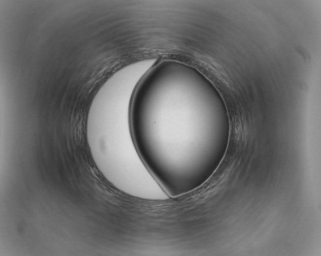 X0000112041060200908101356