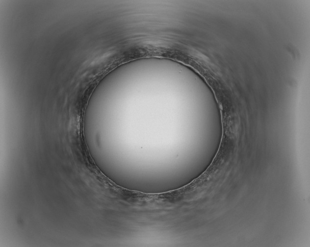 X0000112041061200908101356