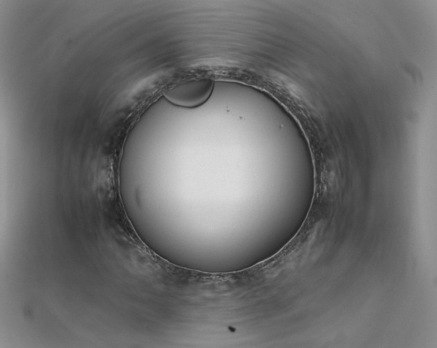 X0000112041062200908101356