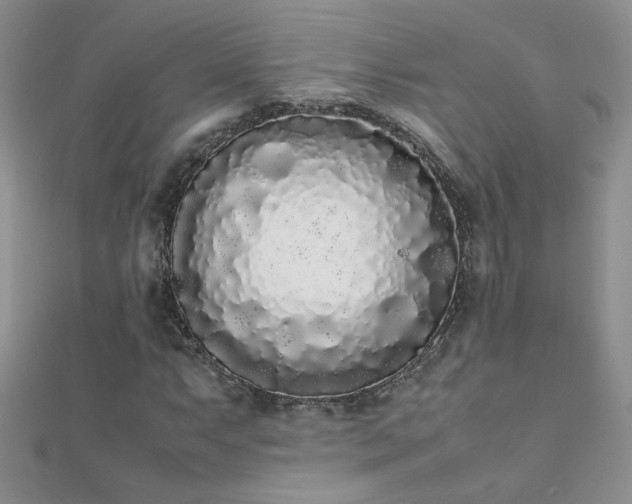 X0000112041063200908101356