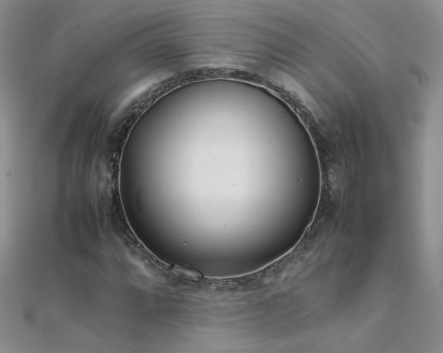X0000112041064200908101356