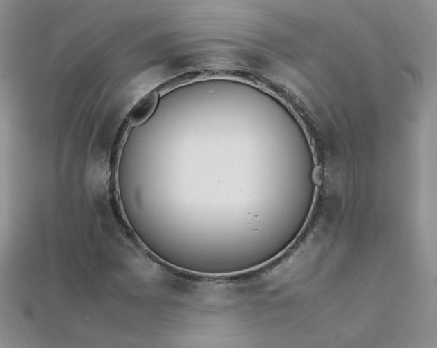 X0000112041065200908101356