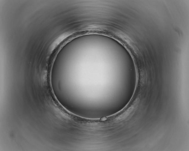 X0000112041066200908101356