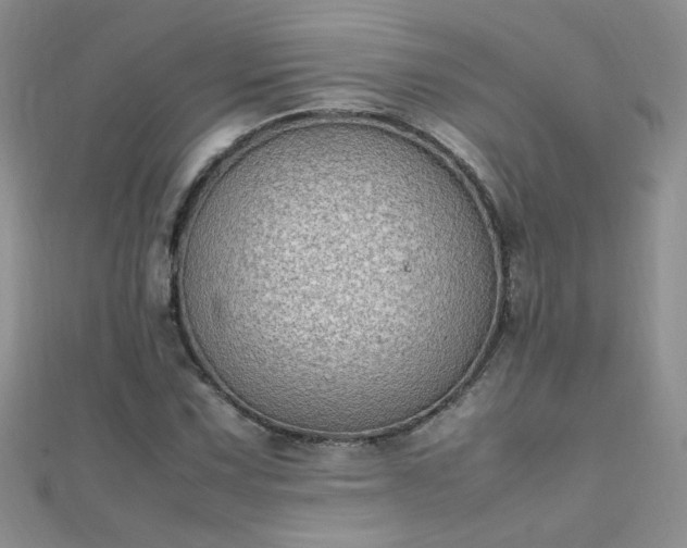 X0000112041067200908101356