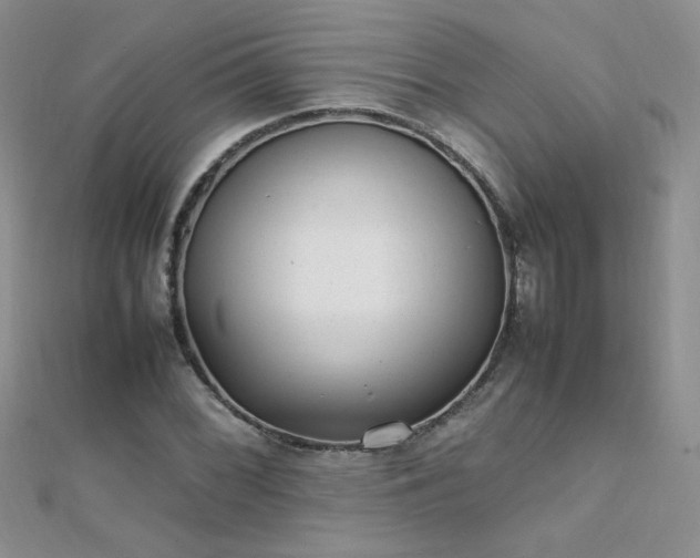X0000112041068200908101356