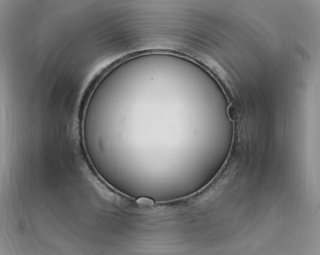 X0000112041072200908101356