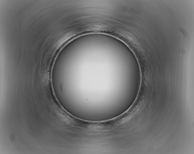 X0000112041073200908101356