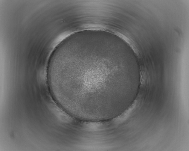 X0000112041074200908101356