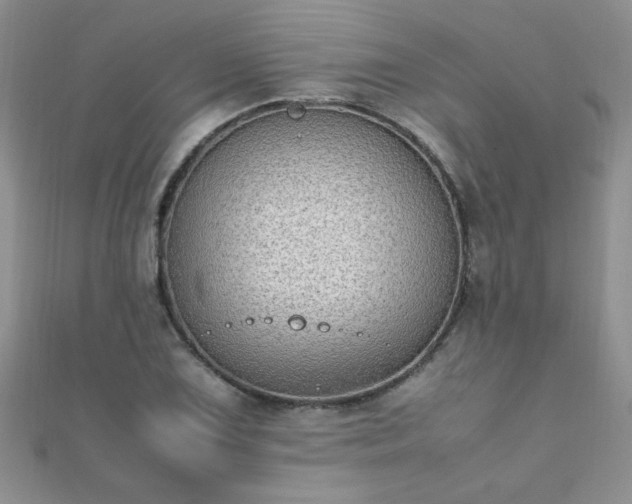 X0000112041075200908101356