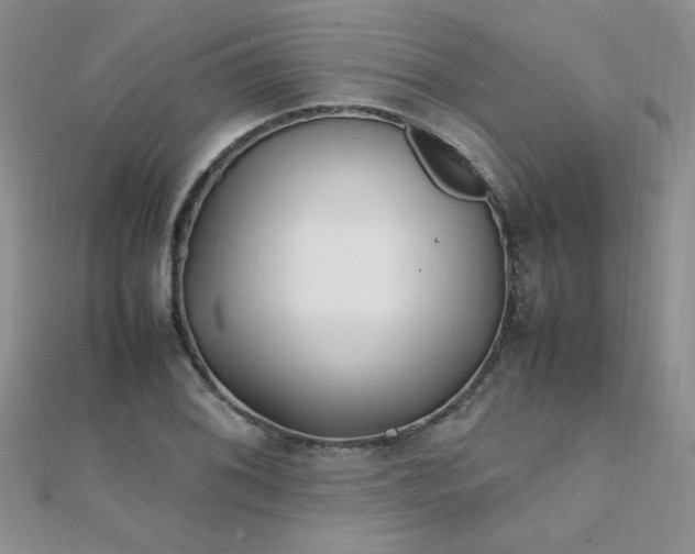 X0000112041076200908101356